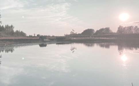 鱼塘承包合同范本15篇