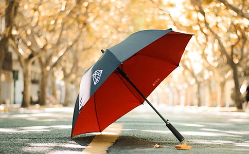 奇怪的雨伞读后感