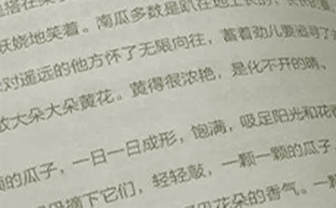 二年级语文教学反思