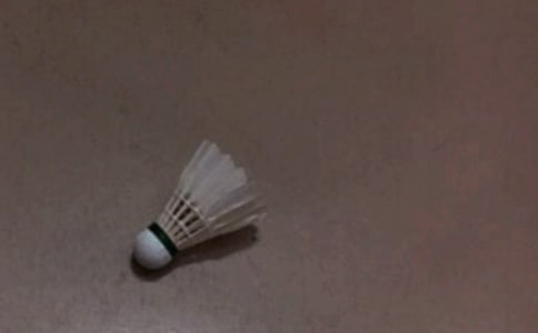 羽毛球兴趣小组活动总结
