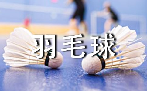 羽毛球比赛活动总结通用15篇