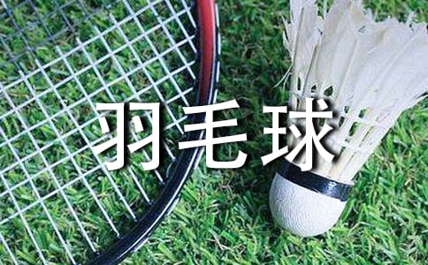 大学生羽毛球比赛策划书