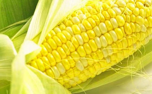 玉米收购合同(集合12篇)