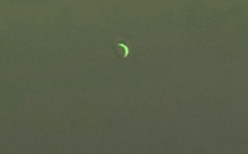 《月亮上的足迹》教案优秀