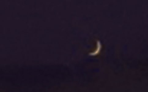 月亮的心愿教学设计15篇(必备)