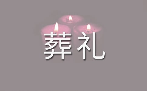 穆斯林的葬礼读后感15篇