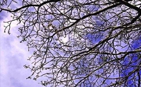 精选美好的早安微信问候语锦集57句