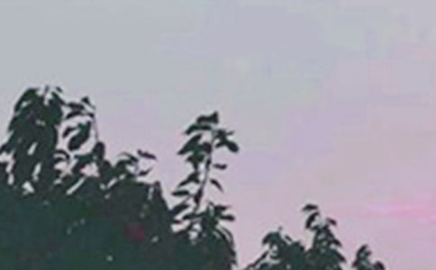 精选每日一签早安问候语27条