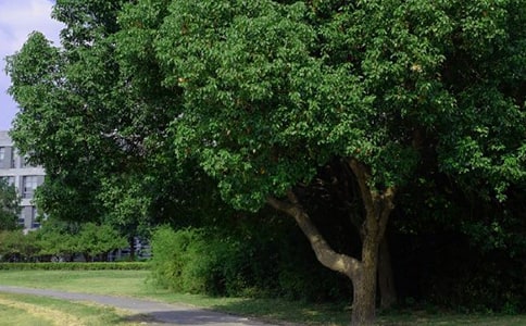 简短的治愈系早安朋友圈问候语锦集36条