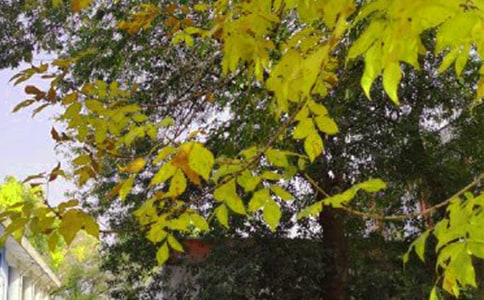 2023年常用美好的早安问候语汇编62条