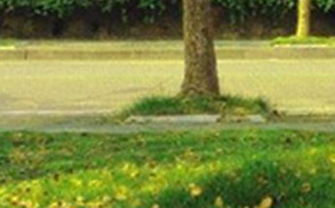 关于励志早安感言(通用45句)