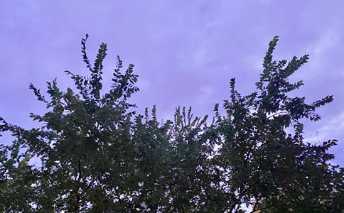 实用的美好的早安祝福语短信集合35句