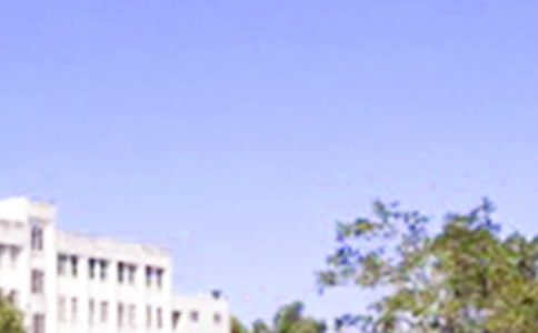 简短的治愈系早安微信问候语集锦58句