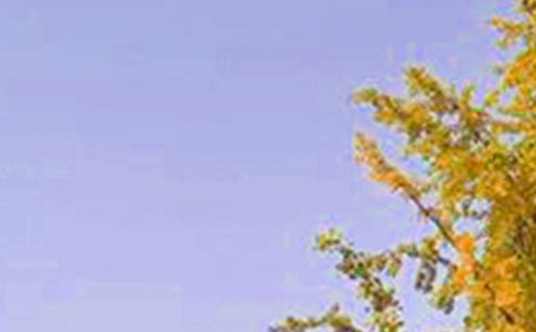 2023年适合给朋友的早安QQ问候语集合62条