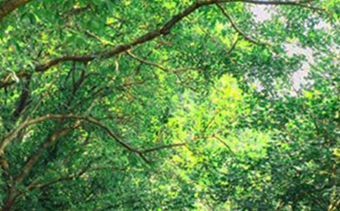 【实用】2023年每日一句早安QQ问候语51句