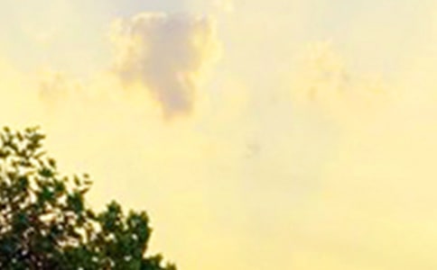 【必备】朋友早安问候语短信摘录32句