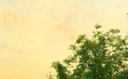 简短的治愈系早安微信问候语合集47条