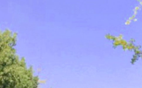 美好的早安微信问候语42句