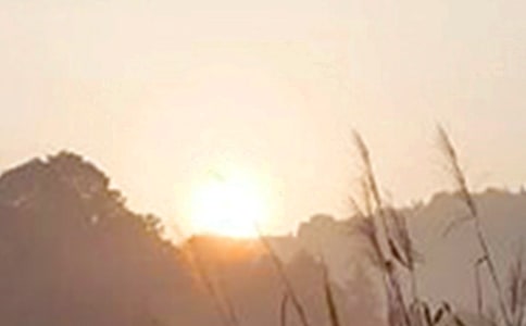 实用温馨的早安问候语