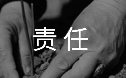 责任胜于能力读后感13篇