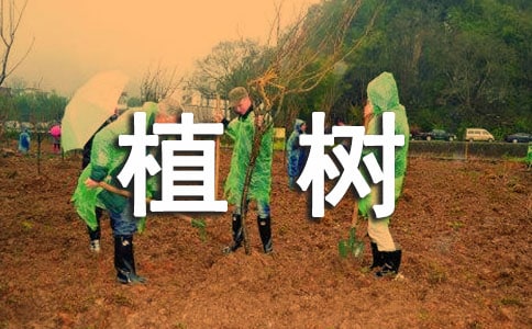 《植树的牧羊人》教学反思10篇