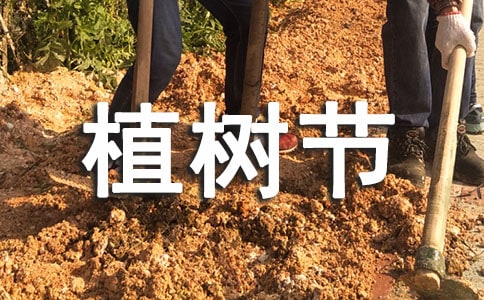 简单植树节黑板报大全