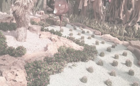 植物园观后感(15篇)