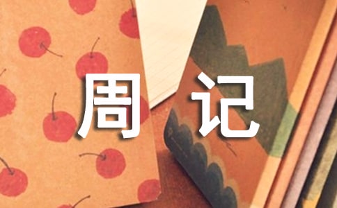 自我总结周记