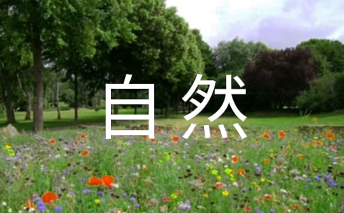 自然之道教学反思