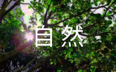 自然人借款合同