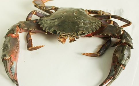 小班美术教案：螃蟹