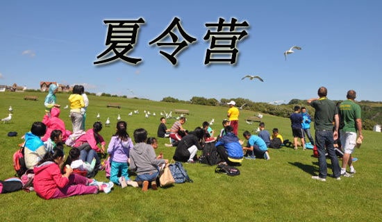 保研夏令营导师推荐信8篇