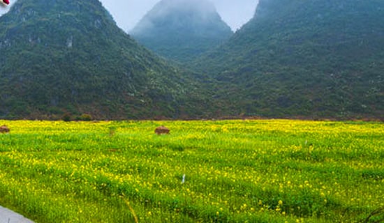 三年级春游安全教案